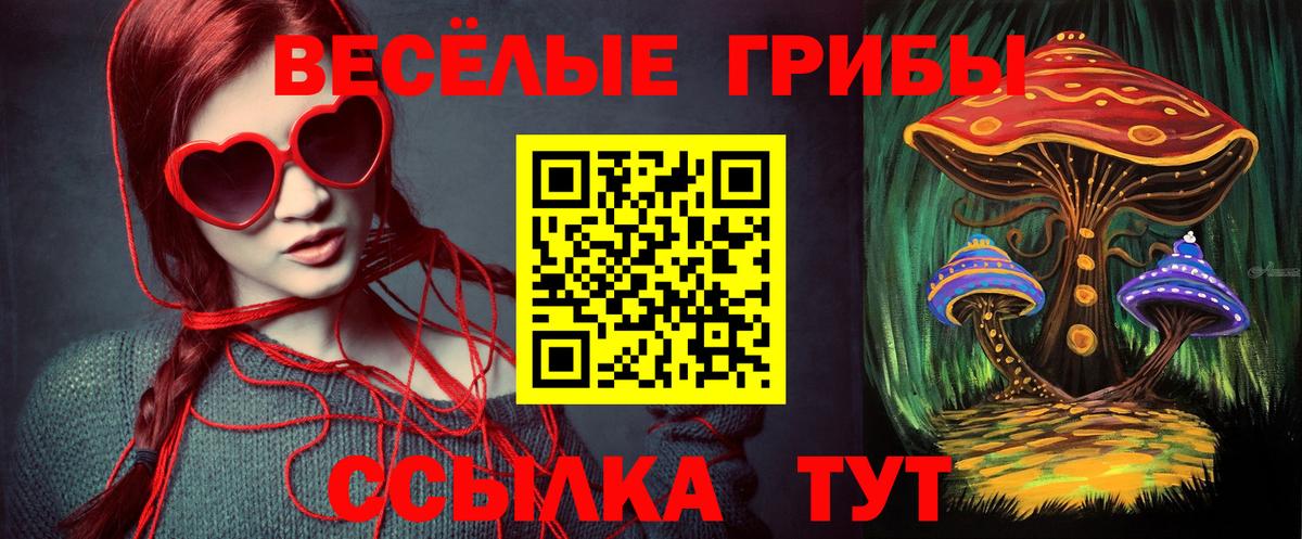 Псилоцибиновые грибы GOLDEN TEACHER  Псилоцибиновые грибы мухоморы  Чайковский  Вход с VPN 