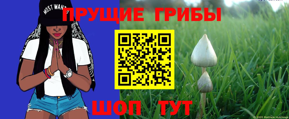 Мефедрон   MDMA  Вход с VPN  ГАШ  Чайковский  Альфа ПВП СОЛЬ   Каннабис 